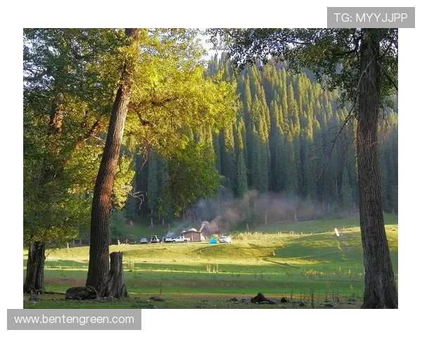kok真人平台的全面介绍，优质博彩体验尽在这里