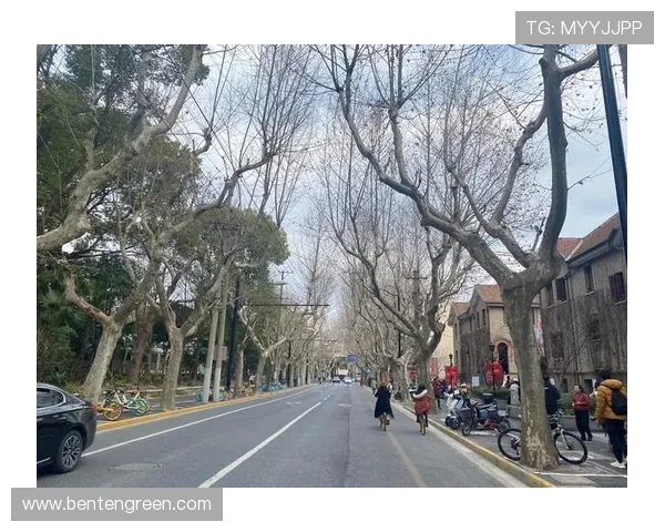 稳定的ag厅k8登录线路有哪些,确保每天顺畅登录